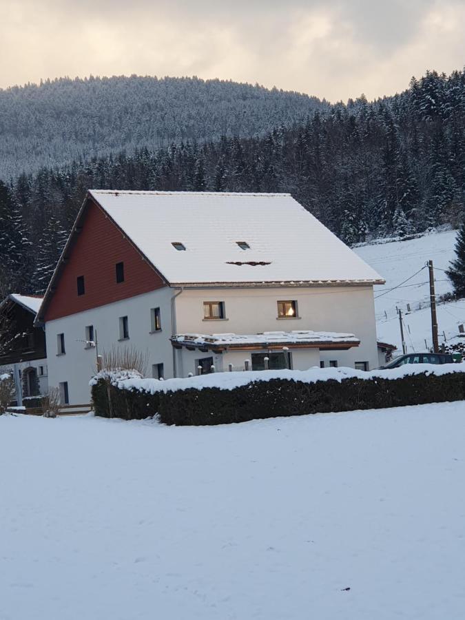 appart lièvre 4 étoiles Cornimont Exterior foto